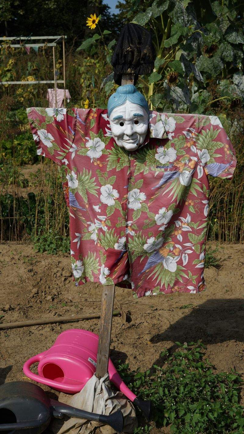 花壇づくり・季節の寄せ植え